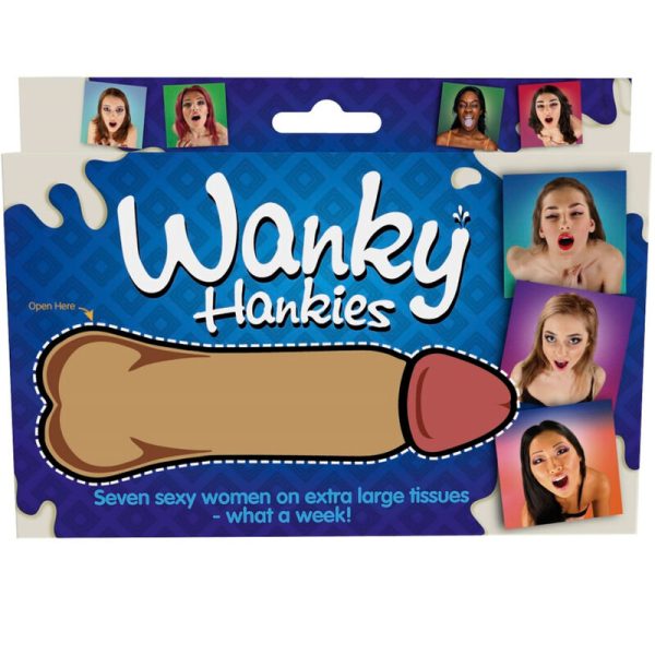 SPENCER  FLEETWOOD - WANKY HANKIES 7 FAZZOLETTI DA DONNA EXTRA LARGE - immagine 3