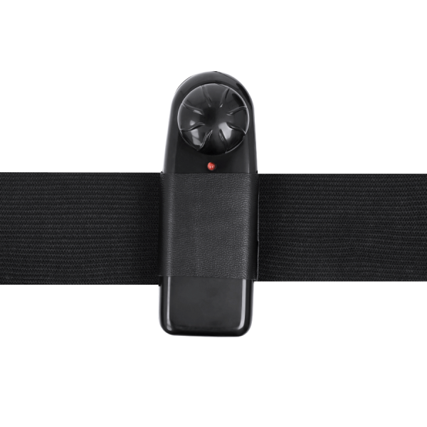 HARNESS ATTRACTION - GREGORY HOLLOW RNES CON VIBRATORE 16.5 CM -O- 4.3 CM - immagine 5