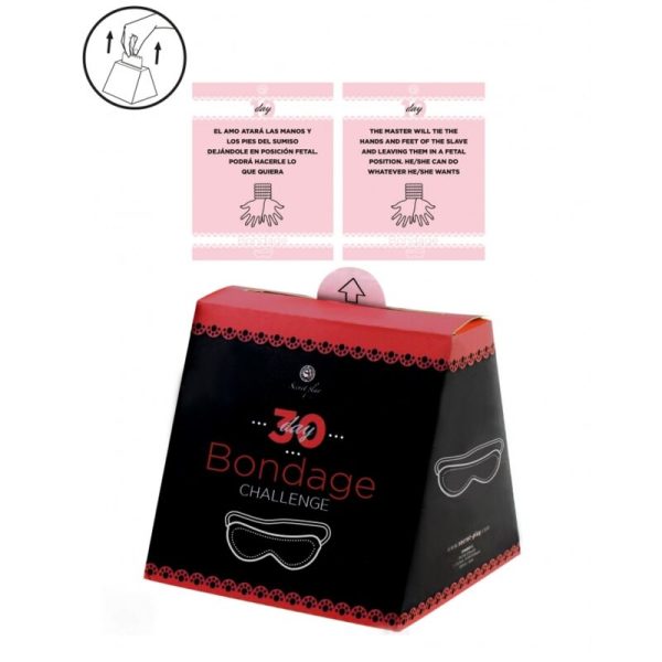 SECRETPLAY - SFIDA 30 GIORNI DI BONDAGE (ES/EN) - immagine 2