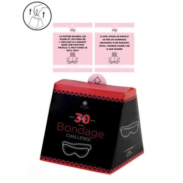 SECRETPLAY - SFIDA 30 GIORNI DI BONDAGE (FR/PT) - immagine 2